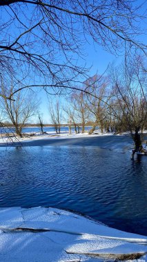 Kış manzarası. Polonya 'da Narew nehri