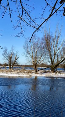 Kış manzarası. Polonya 'da Narew nehri