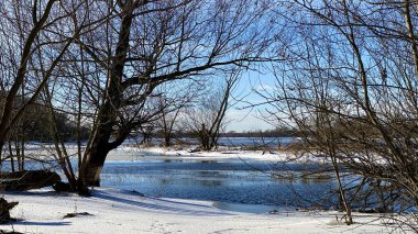 Kış manzarası. Polonya 'da Narew nehri