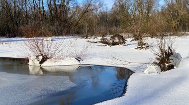 Kış manzarası. Polonya 'da Narew nehri
