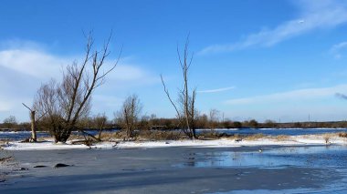 Kış manzarası. Polonya 'da Narew nehri