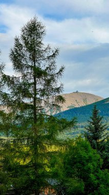 Dağlardaki güzel dağ manzarası. Karpacz. Polonya
