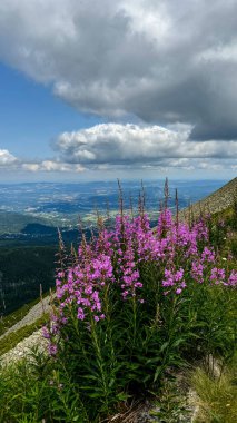 Karkonosze Ulusal Parkı. Polonya dağları