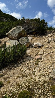 Küçük Göl - Karkonosze Dağları 'nda Göl. Dağlarda gölü olan manzara. Dağların ve gölün güzel manzarası.