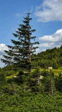 Karkonosze Ulusal Parkı. Dağlar ve bulutlar.