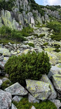 Karkonosze Ulusal Parkı. Dağlar ve bulutlar.