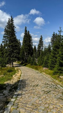 Polonya 'daki Karkonosze Ulusal Parkı