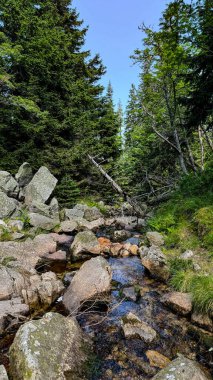 Polonya 'daki Karkonosze Ulusal Parkı