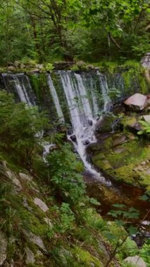 the beautiful mountain stream in the carpathians in the forest.