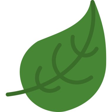 Yaprak taze organik simge düz stil