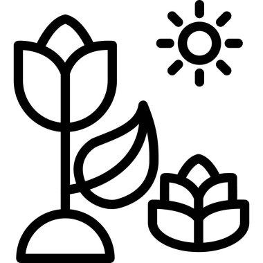 bitki simgesi vektör illüstrasyonu