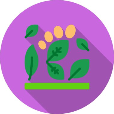 bitki simgesi vektörü. Beyaz arkaplanda izole edilmiş yaprak ve çiçeklerin düz çizimi