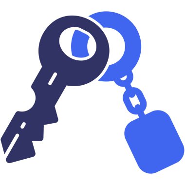 Anahtarlık Katı İki Renk Ağ simgesi, vektör illüstrasyonu