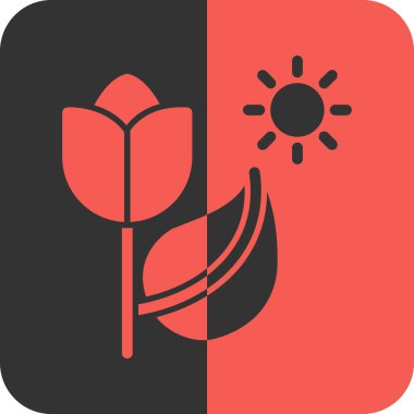 Güneş simgesinin vektör illüstrasyonu