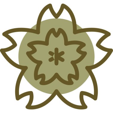 Bir yıldızın vektör illüstrasyonu