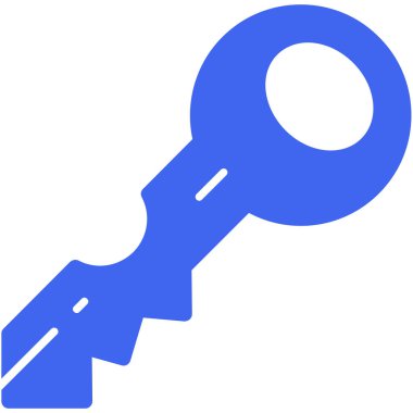 Anahtar. Web simgesi basit illüstrasyon