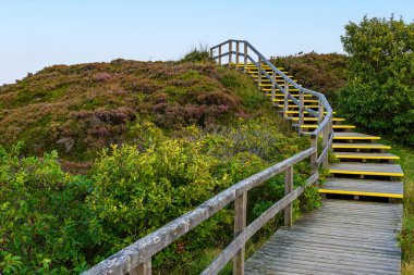 Braderup adasının yakınındaki fundalık arazide tahta patika. Sylt..