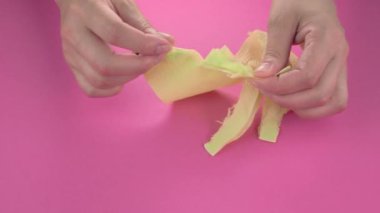 Çok tatmin edici ve rahatlatıcı ASMR videosu. Stres önleyici video, kadınların elleri yırtılır ve buruşuk kağıt peçeteler. İnce Motor Yetenekleri İçin Yırtıcı Kağıt.