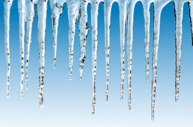 Large icicles frozen in cold winter weather