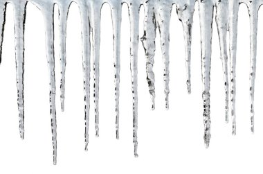 Large icicles frozen in cold winter weather