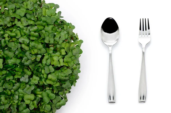 白色背景的微绿叶和餐具 — 图库照片