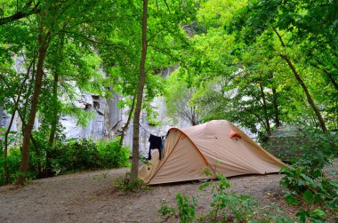 Turist çadırı, ormanda kamp.