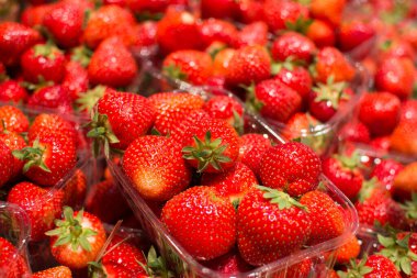 Marketteki plastik kaplarda taze olgun kırmızı çilekler.