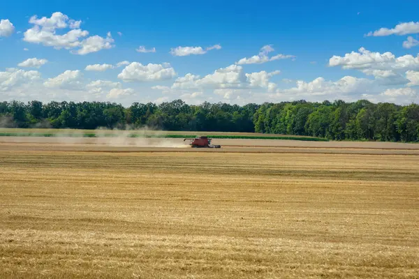 Mavi gökyüzüne karşı tarımsal buğday tarlasında tahıl hasatçısı