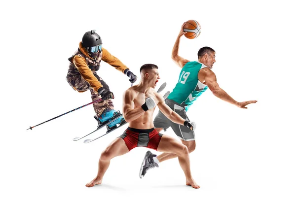 MMA, skiing, basketball. Sport in action. Professional athletes. Sport collage. Isolated in white. Sport emotion. Set of images of different professional sportsmen