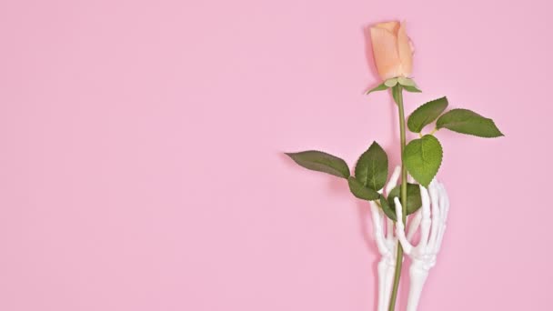 Skeleton Hands Holding Romantic Rose Flowers Pastel Pink Background Valentine — Video Stock