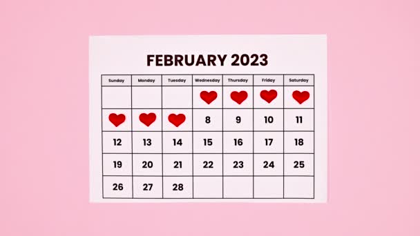 Valentine Day February Calendar Hearts Dates Pastel Pink Background Flat — Video Stock
