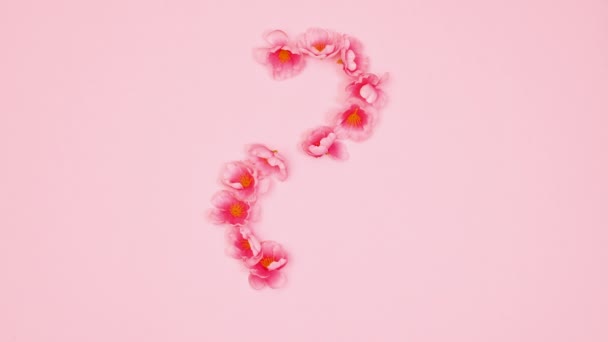 Kobiecy Dzień Układ Wiosennych Kwiatów Zrobić Marca Dekoracji Pastelowym Różowym — Wideo stockowe