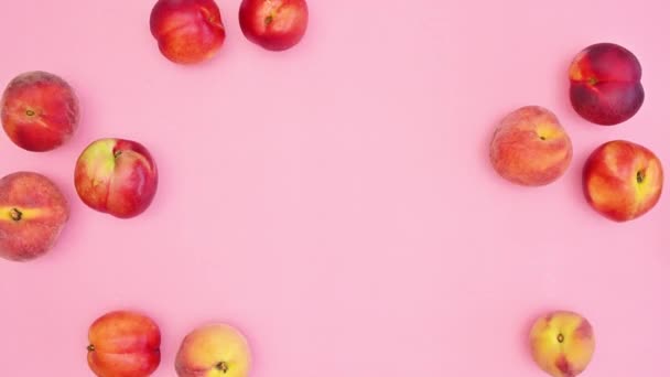パステルピンクのコピースペースの背景に熟した夏の熱帯桃を移動します 平置きだ 動きの果物を止める — ストック動画