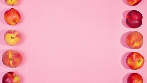 Copierea Creativă Spațiului Pastel Fundal Roz Piersici Mișcare Partea Stângă — Videoclip de stoc