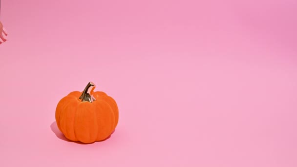 Pastel Elegante Halloween Decoração Outono Arranjo Abóboras Cogumelos — Vídeo de Stock