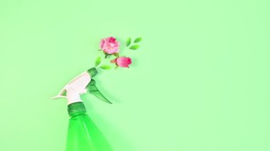 Fıskiyeler yeşil arka plana pembe çiçekler püskürtür. Ekoloji ve doğal konsept. dur hareketi 