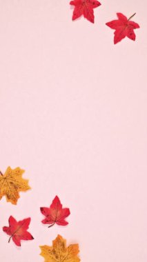 Pastel pembe kopyalama alanı Kırmızı ve sarı yapraklı sonbahar arkaplanı