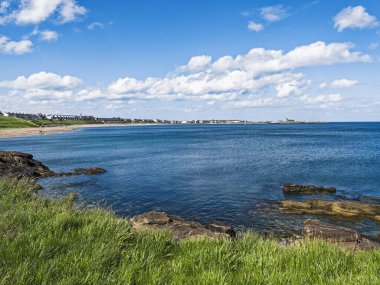 Deniz kıyısında Newbiggin ve Church Point 'e kadar fotokopi alanımız var..