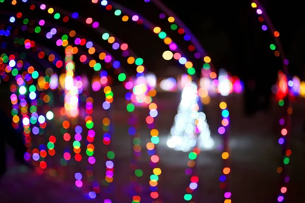 许多模糊不清的圣诞树灯光和装饰品营造了一个五彩缤纷的冬季黄昏背景 — 图库照片#