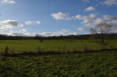 Doğanın güzel manzarası