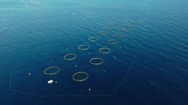 Ton balığı çiftliğinin hava manzarası. Akdeniz mavisi