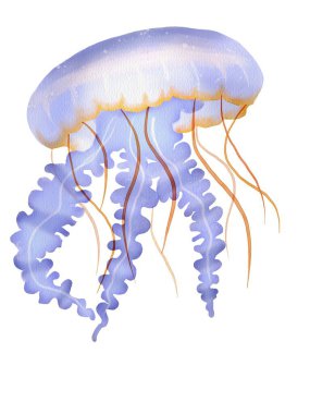 Yumuşak menekşe ve mavi suluboya tonlarıyla narin denizanası çizimi. Su altı temaları ve rüya gibi deniz manzaraları için harika..