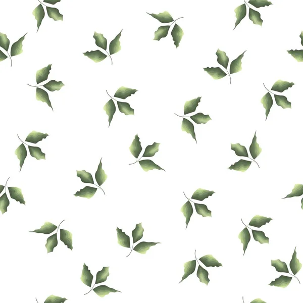 Seamless Vector Grass Pattern Green Leaves Juicy Plants White Background — Stock Vector