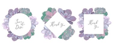 Bir dizi vektör tatil çerçevesi. Sulu sulular, çerçeveler. 