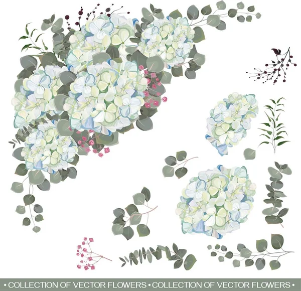 Composición Del Triángulo Vectorial Sobre Fondo Blanco Flores Plantas Hortensia — Vector de stock