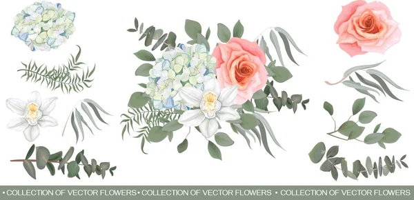 Vector flower arrangement. White hydrangea, orchid, pink rose, eucalyptus, different leaves and plants. All elements of the composition are isolated on a white background . Vector illustration