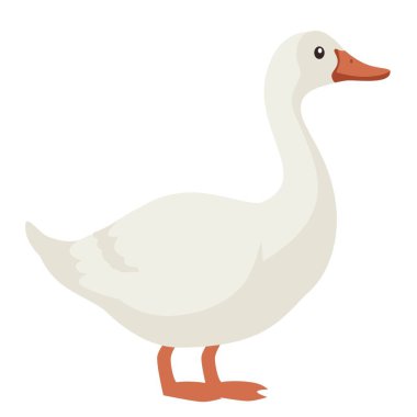 Flat vector illustration. Farm animals, cute goose on white background . Vector illustration clipart