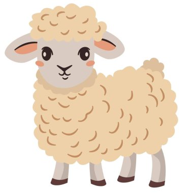 Düz vektör çizimi. Çiftlik hayvanları, beyaz arka planda sevimli koyunlar. Vektör illüstrasyonu