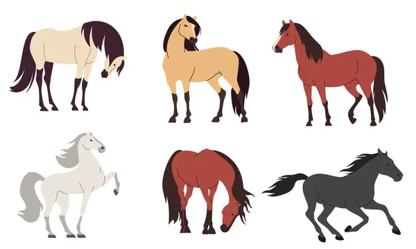 stock vector Set of flat vector illustrations on white background. Horses of different colors and breeds . Vector illustration