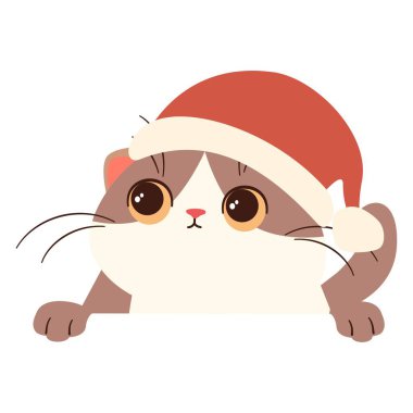 Beyaz arka planda çocuksu bir illüstrasyon. Noel Baba şapkalı şirin kedi yavrusu afişinin arkasından dışarı bakıyor. Vektör illüstrasyonu